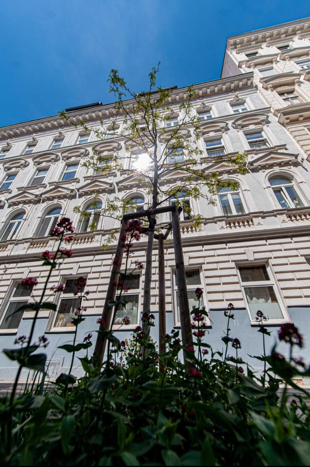 Vienna My City Apartment 2Bedroom Екстериор снимка